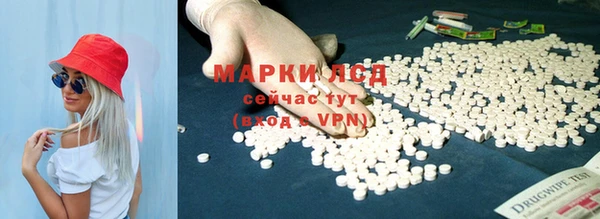 индика Тавда