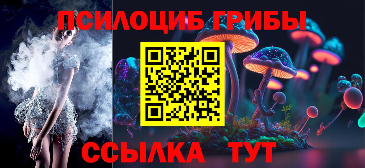 Псилоцибиновые грибы Psilocybine cubensis  Псилоцибиновые грибы MAGIC MUSHROOMS  Видное  Вход с VPN 